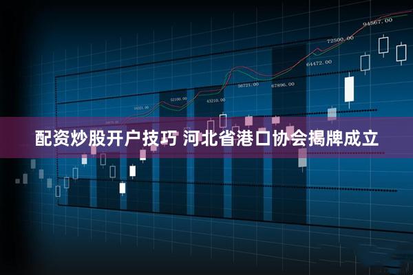 配资炒股开户技巧 河北省港口协会揭牌成立