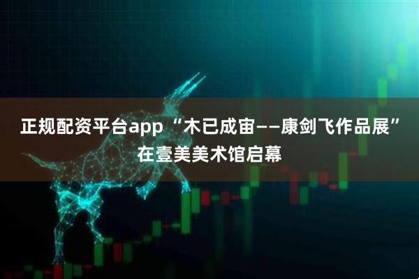 正规配资平台app “木已成宙——康剑飞作品展”在壹美美术馆启幕
