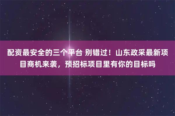 配资最安全的三个平台 别错过！山东政采最新项目商机来袭，预招标项目里有你的目标吗