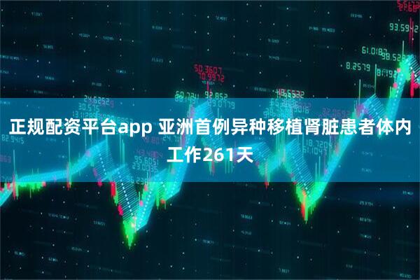 正规配资平台app 亚洲首例异种移植肾脏患者体内工作261天